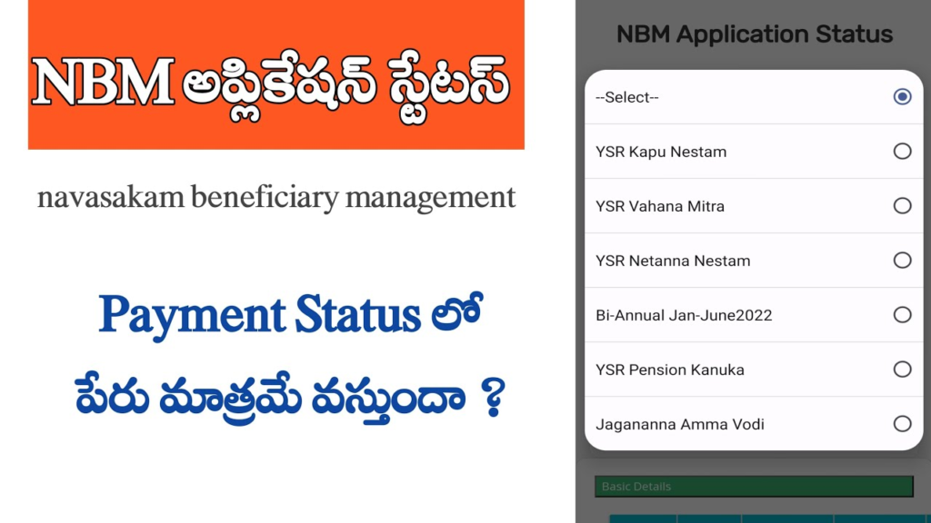  NBM Application Status